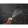 Delta 7-Setting Slide Bar Hand Shower with Cleaning