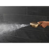 Delta 7-Setting Slide Bar Hand Shower with Cleaning