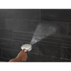 Delta 7-Setting Slide Bar Hand Shower with Cleaning