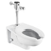 American Standard Ultima® Selectronic® Exposed Toilet Flush Valve, Diaphragm Type, Base Model, Dual Flush 1.28/1.1 gpf (4.8/4.2 Lpf)