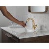 Delta Single Handle Pull Down Bathroom