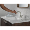 Delta Single Handle Pull Down Bathroom