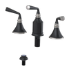 Rubinet Bidet Fitting with Spray, Diverter, and Vacum Breaker (Less Drain) Matt Black