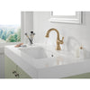 Delta Single Handle Pull Down Bathroom