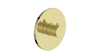 Vogt Worgl Trim for 3/4" TH Valve CC