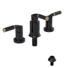 Rubinet Bidet Fitting with Spray, Diverter, and Vacuum Breaker (less drain) Black
