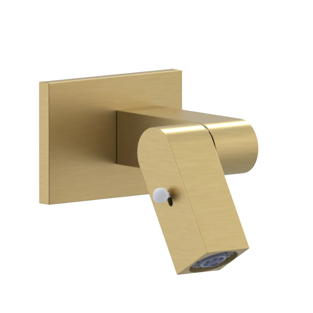 Rubinet Wall Mount Bidet & Foot Rinse with Dual Function Spray Satin Brass