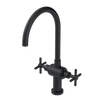 Rubinet Two Handle Single Hole Kitchen Set with LaSalle Spout Matt Black