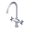 Rubinet Two Handle Single Hole Kitchen Set with LaSalle Spout Satin Chrome