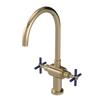 Rubinet Two Handle Single Hole Kitchen Set with LaSalle Spout Gold