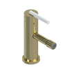 Rubinet Single Control Bidet Fitting (less drain) Gold