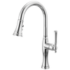 Brizo Pull Down Kitchen Faucet