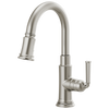 Rook Pull-Down Prep Faucet - Brilliance® Stainless