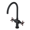 Rubinet Two Handle Single Hole Kitchen Set with LaSalle Spout Matt Black