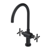 Rubinet Two Handle Single Hole Kitchen Set with LaSalle Spout Matt Black