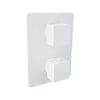 Baril Complete thermostatic pressure balanced shower control valve with 2-way diverter