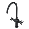 Rubinet Two Handle Single Hole Kitchen Set with LaSalle Spout Matt Black