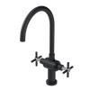 Rubinet Two Handle Single Hole Kitchen Set with LaSalle Spout Matt Black