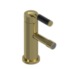 Rubinet Single Control Bidet Fitting (less drain) Natural Brass