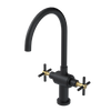 Rubinet Two Handle Single Hole Kitchen Set with LaSalle Spout Matt Black