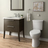 American Standard Touchless Sensor-Operated Foam Soap Dispenser, Battery Powered