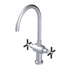 Rubinet Two Handle Single Hole Kitchen Set with LaSalle Spout Satin Chrome