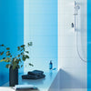 Grohe Rainshower 24” Shower Slide Bar