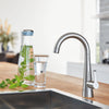 Grohe Zedra Single-Handle Beverage Faucet (Cold Water Only) With Filtration 1.75 Gpm - Golzar Home