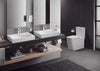 Grohe Eurocube Two-Piece Elongated Dual Flush Toilet 1.28/1.0 Gpf - Golzar Home