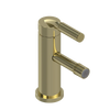 Rubinet Single Control Bidet Fitting (less drain) Gold