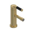 Rubinet Single Control Bidet Fitting (less drain) Satin Brass