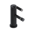 Rubinet Single Control Bidet Fitting (less drain) Matt Black
