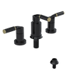 Rubinet Bidet Fitting with Spray, Diverter, and Vacuum Breaker (less drain) Black