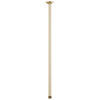 Essential Shower Series 24" Ceiling Mount Shower Arm And Round Flange - Brilliance® Polished Gold