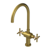 Rubinet Two Handle Single Hole Kitchen Set with LaSalle Spout Antique Brass Matt