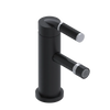 Rubinet Single Control Bidet Fitting (less drain) Matt Black