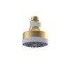 Rubinet 3 FUNCTION SHOWER HEAD Satin Brass