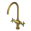 Rubinet Two Handle Single Hole Kitchen Set with LaSalle Spout Antique Brass Matt
