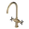 Rubinet Two Handle Single Hole Kitchen Set with LaSalle Spout Gold
