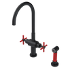 Rubinet Two Handle Single Hole Kitchen Set with LaSalle Spout with Hand Spray Matt Black