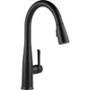 Essa Essa Touchless Kitchen Pull-down With Voice Chrome - Matte Black