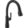 Coranto Single Handle Pull-down Shieldspray - Matte Black