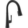 Emmeline Shieldspray Pull-down Kitchen Faucet 1L - Matte Black