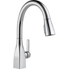 Delta Single Handle Pull-Down Kitchen Faucet with ShieldSpray