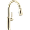 Renaldi Kitchen Pull-down Chrome Matte Black - Lumicoat Polished Nickel