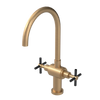 Rubinet Two Handle Single Hole Kitchen Set with LaSalle Spout Satin Gold