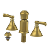 Rubinet Bidet Fitting with Spray, Diverter, and Vacum Breaker (Less Drain) Antique Brass Matt