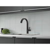 Delta Single Handle Pull Down Kitchen