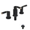 Rubinet Bidet Fitting with Spray, Diverter, and Vacum Breaker (Less Drain) Black
