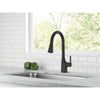 Delta Banting Pulldown Kitchen Faucet - Golzar Home